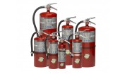 4002-4020 PORTABLE ABC DRY CHEMICAL FIRE EXTINGUISHERS